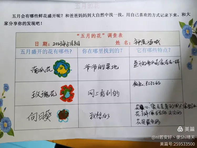 中五班班本课程《花的秘密》